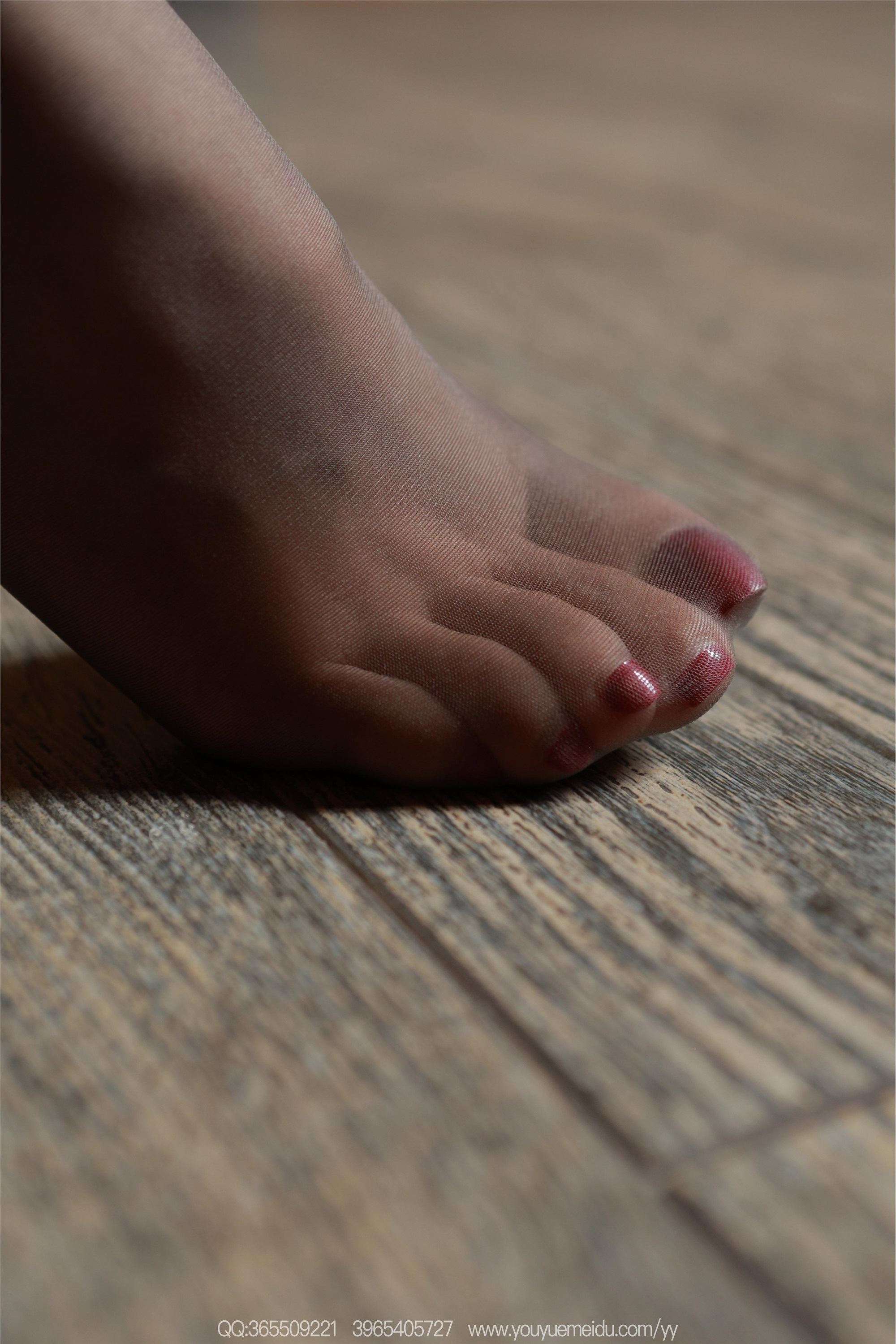 IESS异思趣向  2025.10.29 丝享家 2197 兔兔《律政俏佳人》